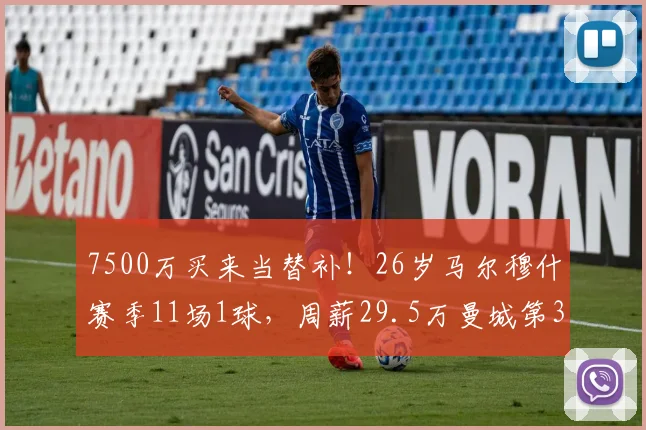 7500万买来当替补！26岁马尔穆什赛季11场1球，周薪29.5万曼城第3